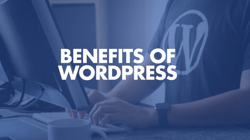 The Benefits of Using WordPress Plugins