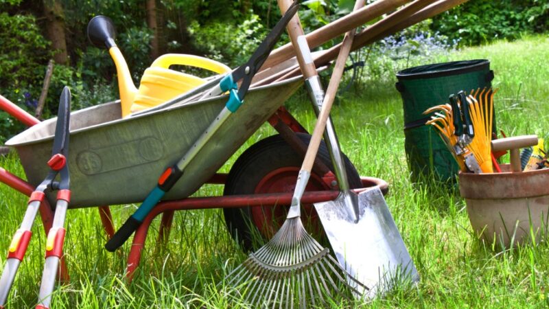 Explore The Best Lawn Weed Control Company